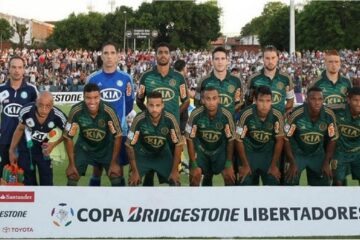 Elenco do Palmeiras 2013