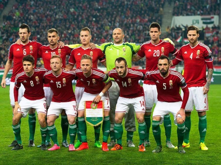 Seleção da Hungria em 2016