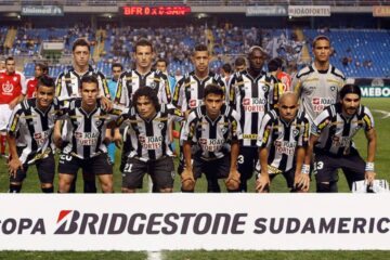 Elenco do Botafogo 2011