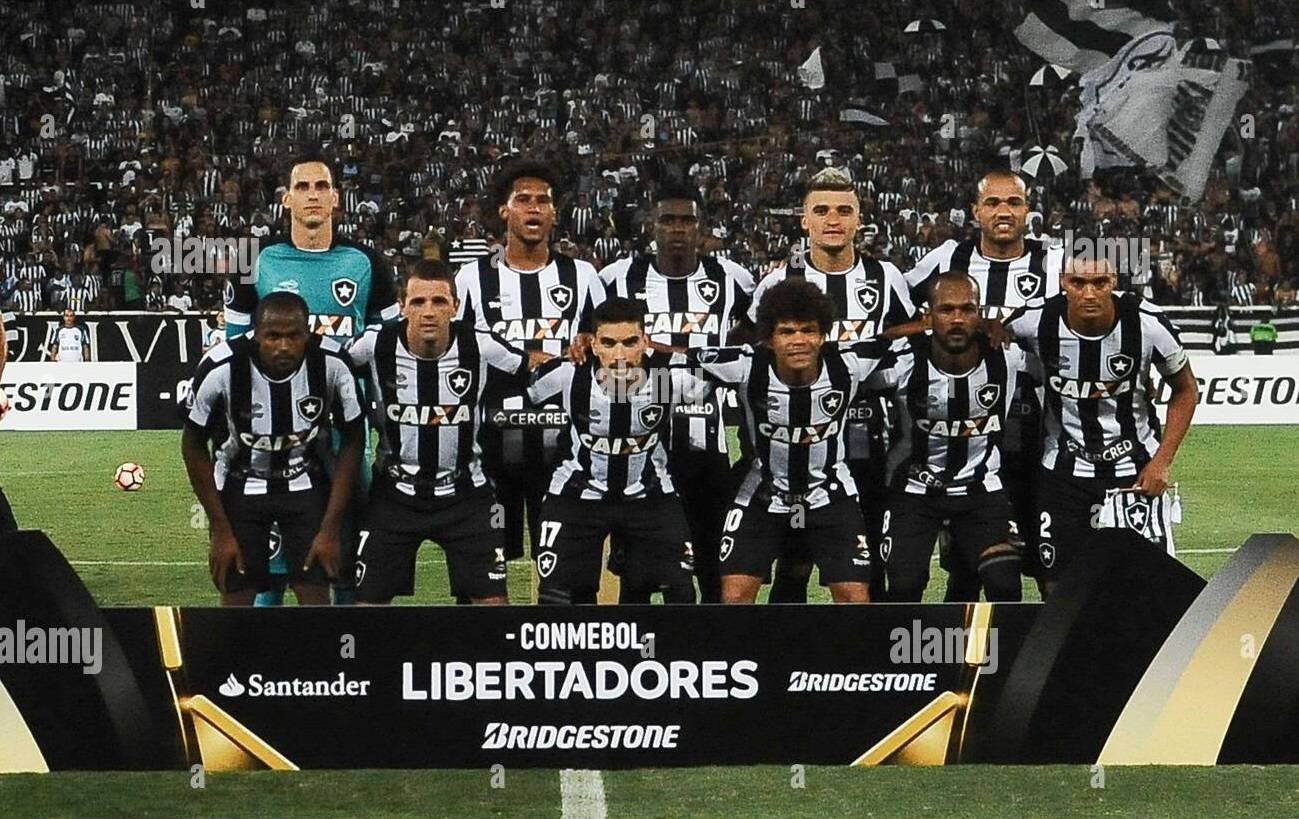 Elenco do Botafogo 2017