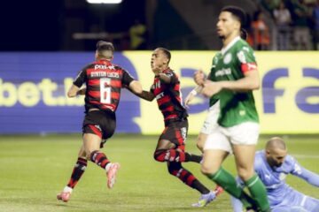 Flamengo vence o Palmeiras pelo Brasileirão