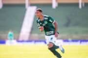 Yan Henrique