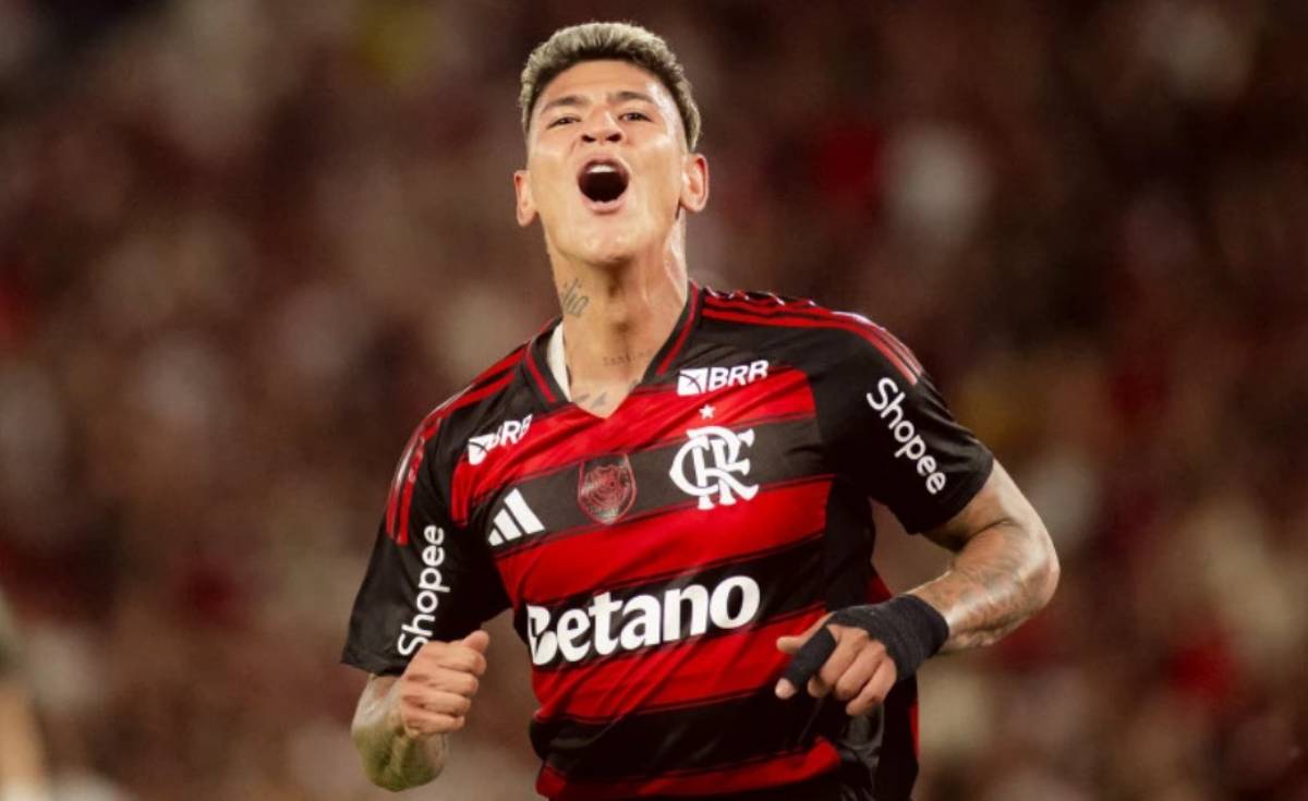 Flamengo vence o Santos pelo Brasileirão